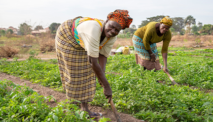 buzz women training buzz green